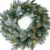 Van der gucht Frosted Mulberry Wreath Kerstkrans D61Cm 50Led Lampjes Discount
