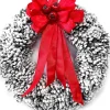 Dutch Flower Lady Frozen Krans Met Rode Strik! [Winter - Kerst - Deurkrans - Kerstdecoratie - Hygge - Naturel - Chic - Luxury - Scandinavisch - Slow Living] 32.10 Cm Store