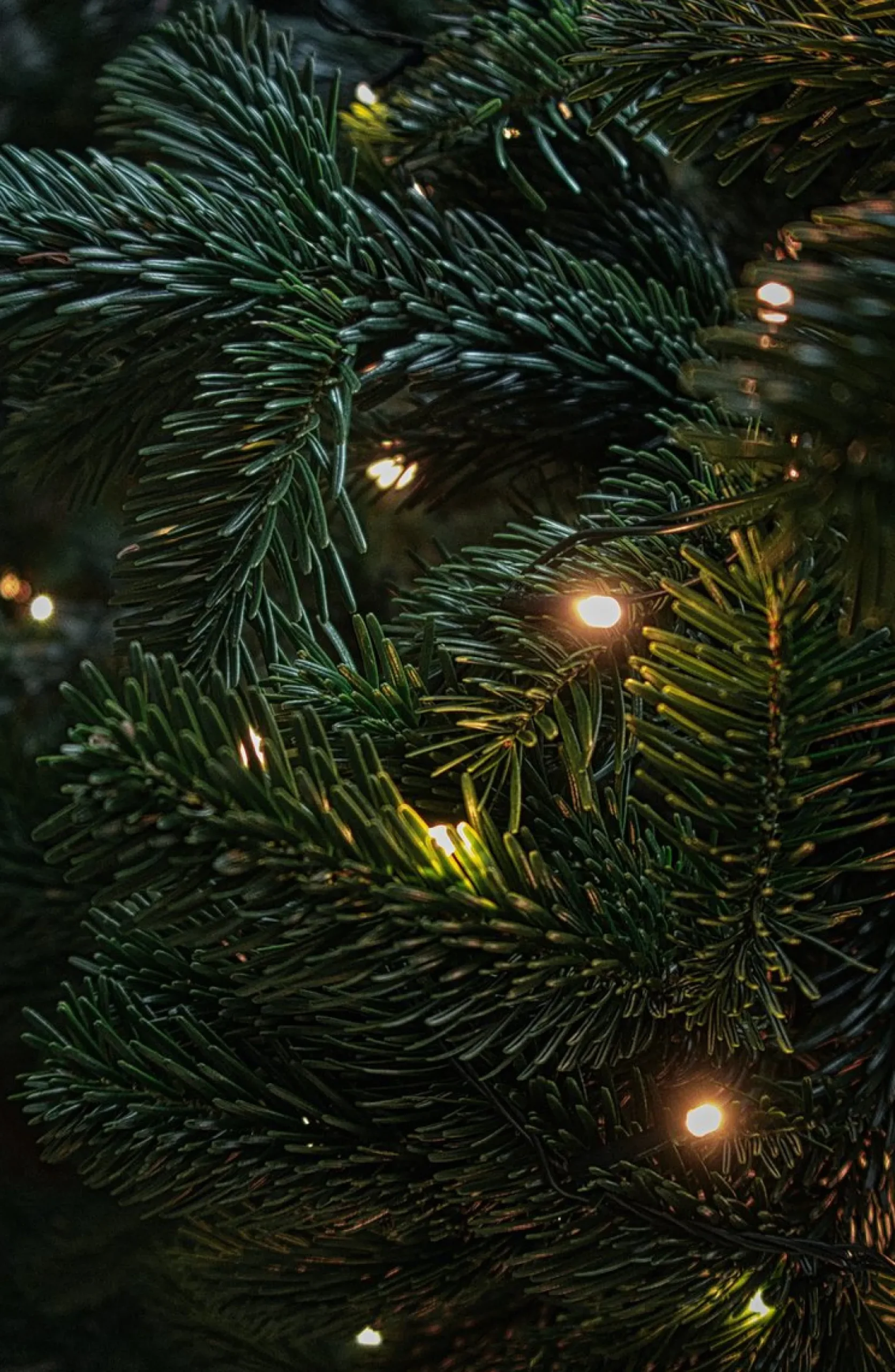 Grundig Kerstboomverlichting^ Kerstverlichting - 20 Led Lampjes - 302 Cm- 3.2 Meter - Warm Wit - 220V