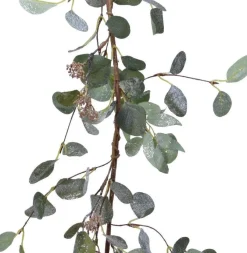 Decoris Guirl.Plc Eucalypt.L24B12H150 Cm Grn Best
