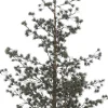 House of Seasons Kunstkerstbomen^ Burlap Kunstkerstboom - 64X64X120 Cm - Groen