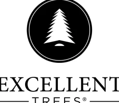 Excellent Trees Kunstkerstbomen^Kerstboom ® Led Ulvik Met Verlichting - Luxe Uitvoering - 250 Lampjes 150 Cm