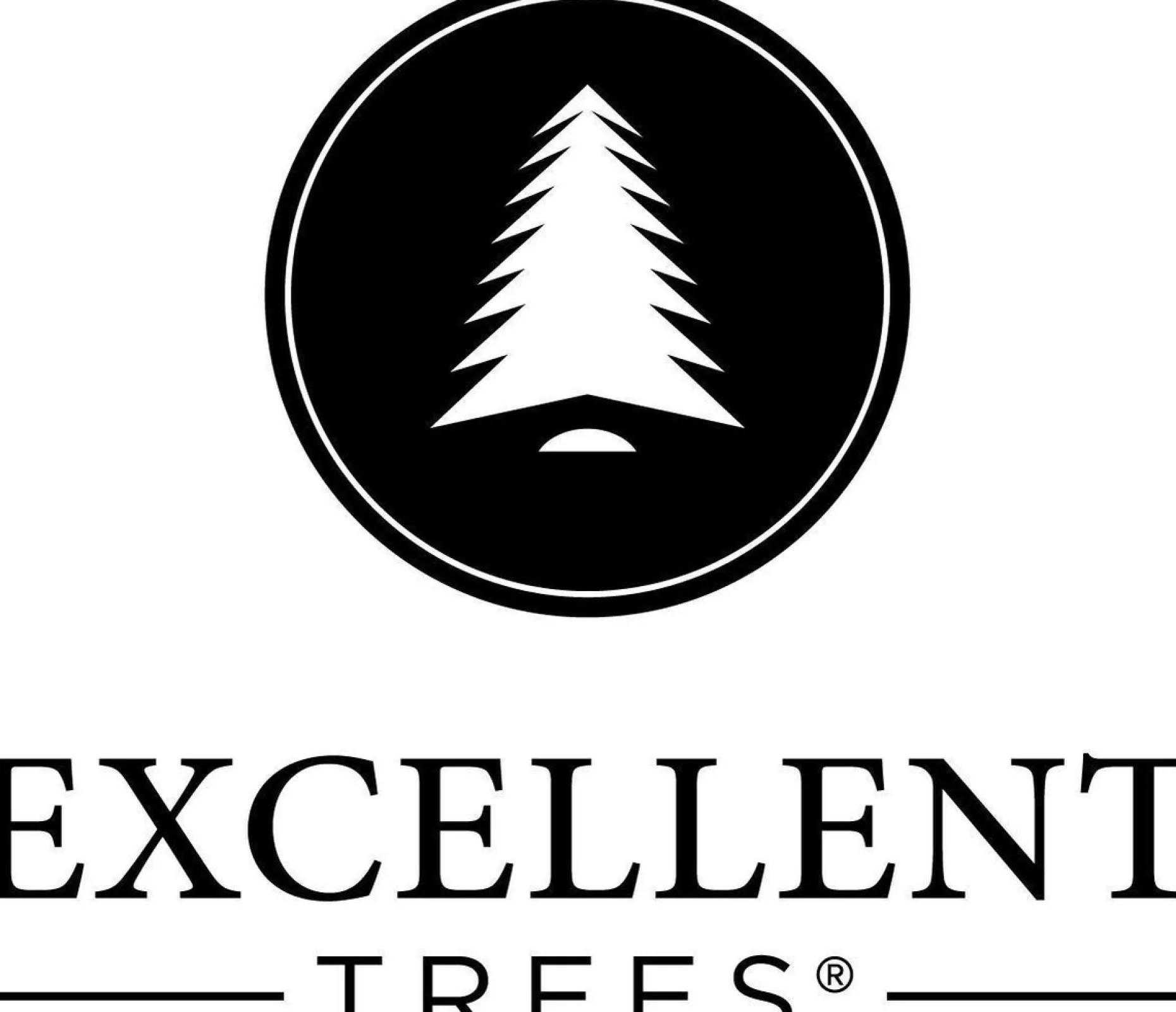 Excellent Trees Kunstkerstbomen^Kerstboom ® Led Ulvik Met Verlichting - Luxe Uitvoering - 250 Lampjes 150 Cm