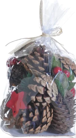 Naturn Christmas Kerst Diy Knutselen Pakket Van | 9 X 9 X 16 Cm | Duurzame Kerstdecoratie Set | Kerstpakket Decoratie | Rood Shop