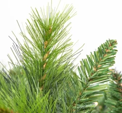 Merkloos Kerstslinger 'King Tree' – Met Led - Guirlande - Kerstversiering - 270 Cm Fashion