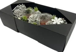 WDMT Kerststuk Kaarsenhouder - Pearl |13 X 9 X 30 Cm | Decoratieve En Goed Gevulde Kerstdecoratie Met Waxinehouder | Vervaardigd Uit Natuurlijke Materialen En Witte Details | Wit Hot
