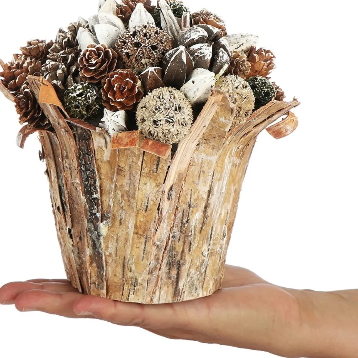 * Kerstversieringen In De Bloempot, Verschillende Soorten Dennenappels In De Decoratieve Schorspot, Handgemaakt Bloemstuk Als Tafeldecoratie (1 Stuk, 18 Cm, Wit, Kralen) Fashion