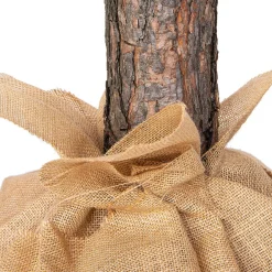 Viking Choice Kunstkerstbomen^Kunstkerstboom 160 Cm - Met Houten Stam - Sneeuw En Dennenappels