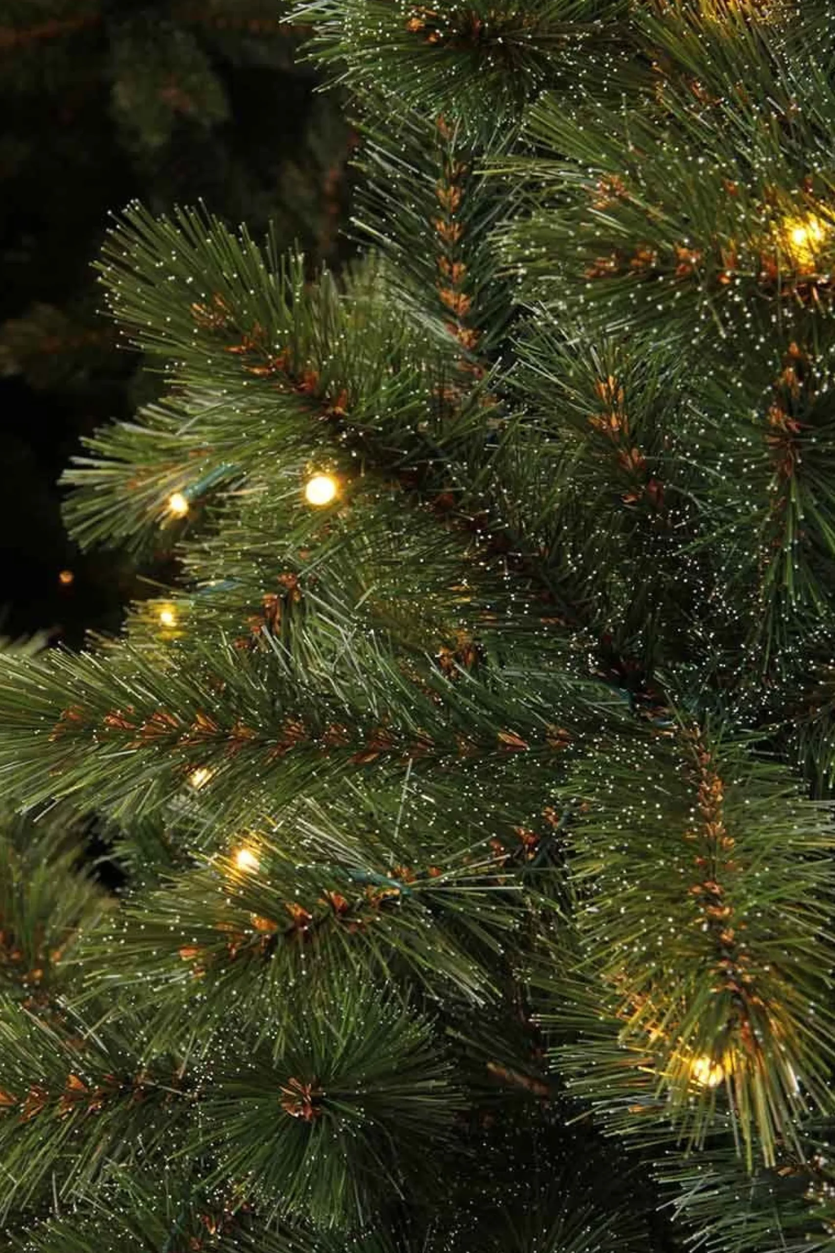 Triumph Tree Kunstkerstbomen^Kunstkerstboom Forest Frosted | Led H120Cm Groen D69Cm
