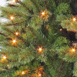 Triumph Tree Kunstkerstbomen^Kunstkerstboom Forest Frosted | Led H120Cm Groen D69Cm
