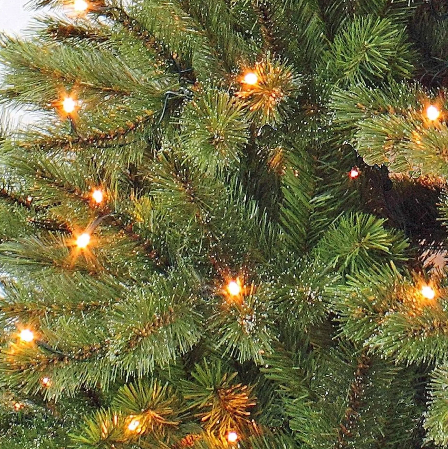 Triumph Tree Kunstkerstbomen^Kunstkerstboom Forest Frosted | Led H120Cm Groen D69Cm