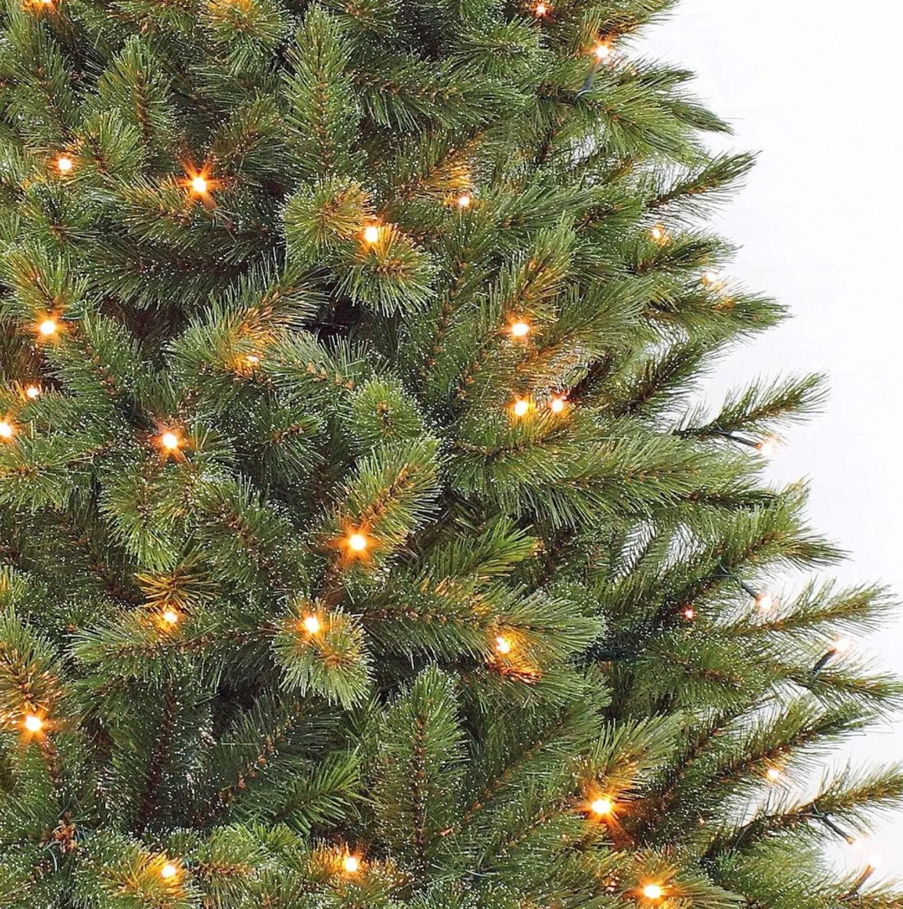 Triumph Tree Kunstkerstbomen^Kunstkerstboom Forest Frosted | Led H120Cm Groen D69Cm