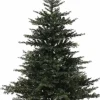 Everlands Kunstkerstbomen^Kunst Kerstboom Grandis Fir - 1038 Tips - Groen - 150 Cm