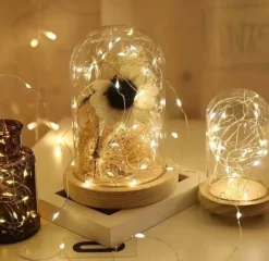 Wondersathome Led Lampjes - Kerstlampjes - Kerstverlichting - 20 Warm Wit Lampjes - 2 Meter - Inclusief Batterijen - Lichtsnoer - Sfeerverlichting - Draadverlichting - Best Sale