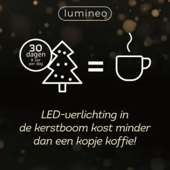 Lumineo Kerstlichtsnoeren^Led-Verlichting Basic Lights Buiten 360L