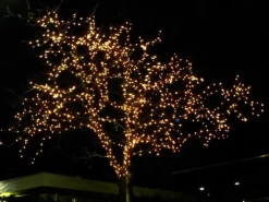 Merkloos Kerstboomverlichting^Led-Verlichting 720 Led's 54 Meter