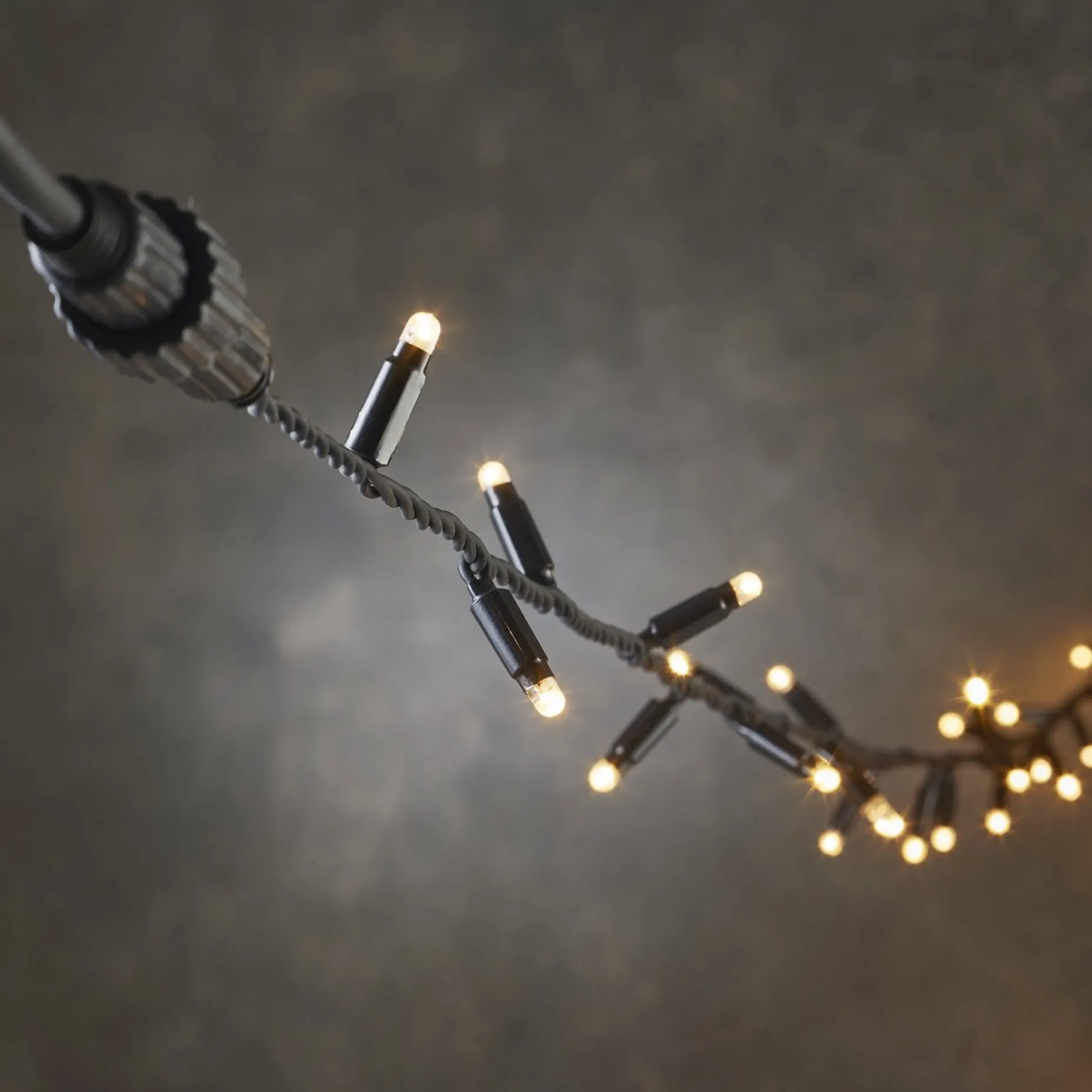 Luca lighting Kerstlichtsnoeren^ Connect 24 Lichtsnoer Met 98 Led Lampjes - L1000 Cm - Warm Wit