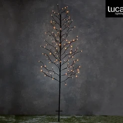 Luca lighting Verlichte Kerstfiguren^ - Garden D''Light Tak Boom Zwart Warm Wit 118Led Ip44 8 Function Controller En Timer - L80Xh150Cm - Woonaccessoires En Seizoensgebondendecoratie (Europese Stekker )