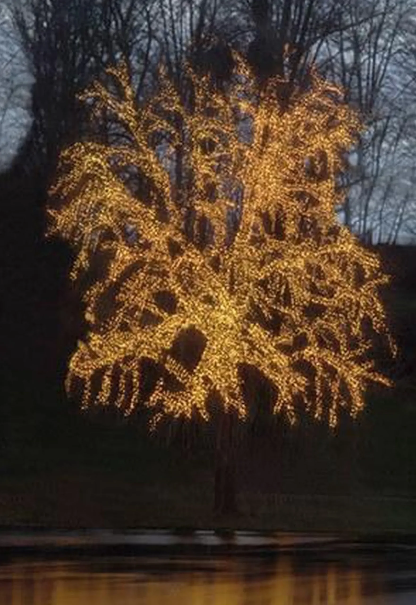 Star Trading Kerstlichtsnoeren^Luca Lighting - Snoer Extra Luca Connect Xp Lengte 10 Meter Met 100 Lampjes - Warm Wit