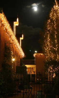 Star Trading Kerstlichtsnoeren^Luca Lighting - Snoer Extra Luca Connect Xp Lengte 10 Meter Met 100 Lampjes - Warm Wit