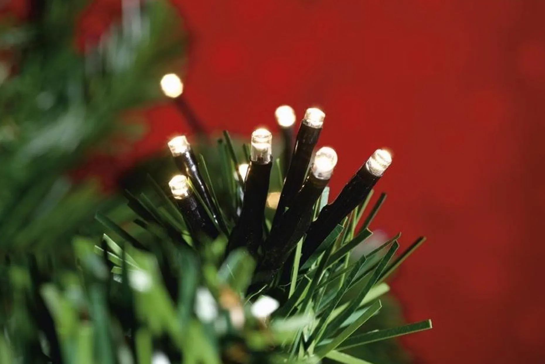 Lumineo Kerstlichtsnoeren^ Kerstverlichting - 18 M - Warm Wit - 240 Leds - Lichtsnoer