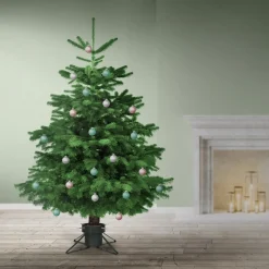 Nampook Kerstboomstandaarden^ Kerstboomstandaard - Medium - Voor Bomen Tot 2 Meter -1.8L Waterreservoir - Groen