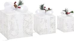 Prolenta Premium Kerstdecoratie Geschenkdozen 3 St Binnen/Buiten Zilverkleurig Sale