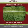 My Village Rendiermos Groen 50 G Shop