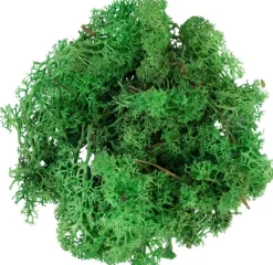 My Village Rendiermos Groen 50 G Shop