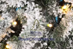 Royal Christmas Kunstkerstbomen^ - Flock / Sneeuw Kunstkerstboom In Plastic Pot - Lengte 105 Cm - Met Warm Led Batterij Verlichting - Met Sneeuw - 122 Takken