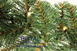 Royal Christmas - Guirlande Met 70 Warm Led Lampjes Geintegreerd - Lengte 540 Cm - 400 Takken - Extra Vol Clearance