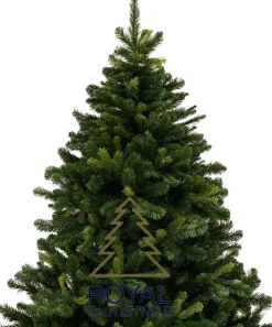 Royal Christmas Kunstkerstbomen^ - Kunstkerstboom - Rockford Spruce - 180 Cm - Pvc - 886 Takken - Zonder Verlichting