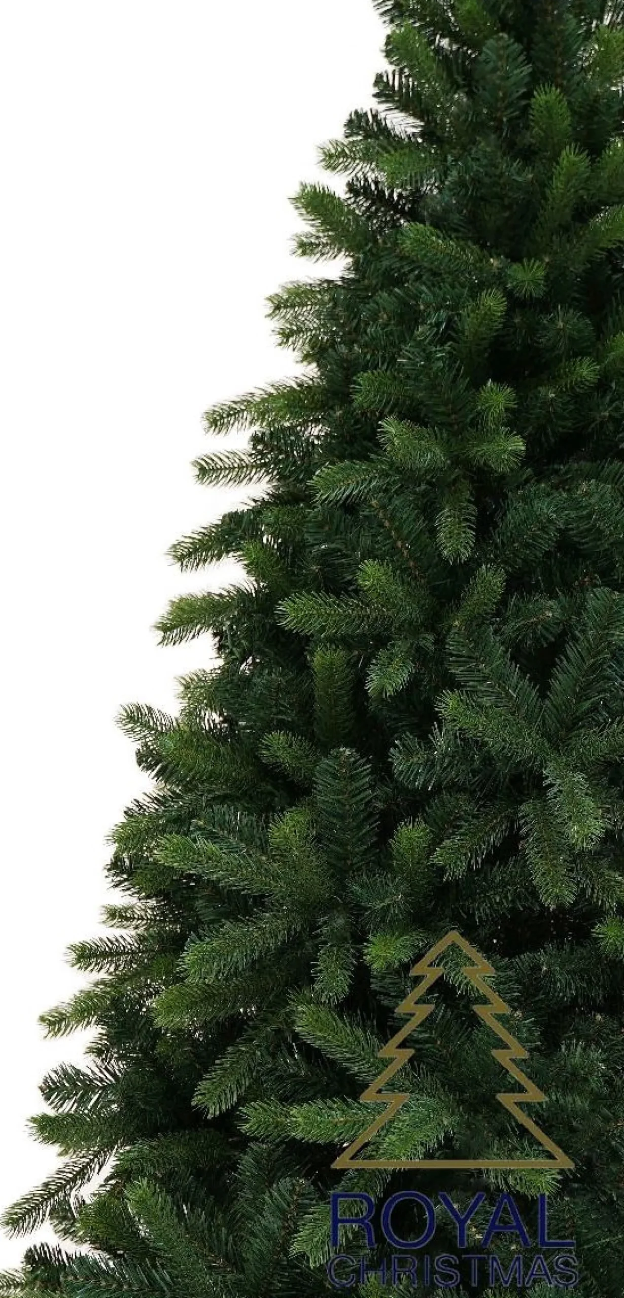 Royal Christmas Kunstkerstbomen^ - Kunstkerstboom - Bogota Pe / Pvc Premium 180 Cm - 1131 Takken - Groen - Zonder Verlichting