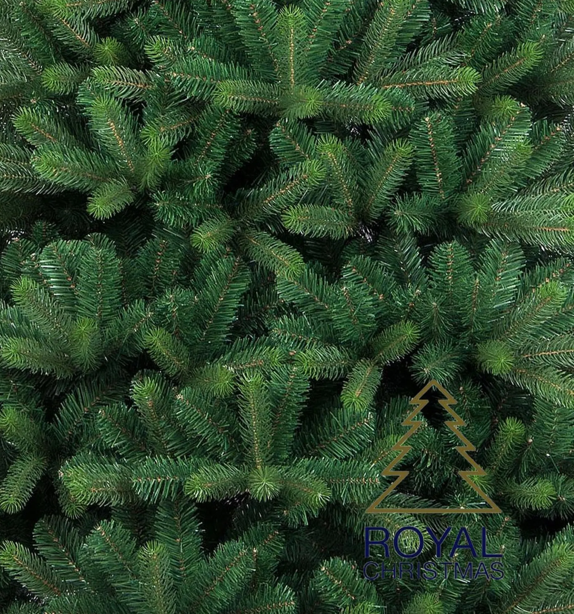 Royal Christmas Kunstkerstbomen^ - Kunstkerstboom - Bogota Pe / Pvc Premium 180 Cm - 1131 Takken - Groen - Zonder Verlichting