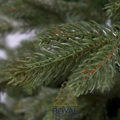 Royal Christmas Kunstkerstbomen^ - Kunstkerstboom - Spitsbergen Premium Pe/Pvc 2480 Takken Groen 270 Cm