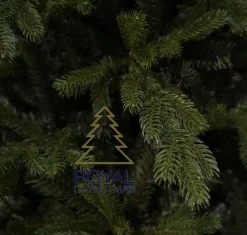 Royal Christmas Kunstkerstbomen^ - Kunstkerstboom - Spitsbergen Premium Pe/Pvc 2480 Takken Groen 270 Cm