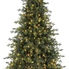 Royal Christmas Kunstkerstbomen^ - Kunstkerstboom - Norway Spruce Pe/Pvc - 450 Led Lampjes - Fbu - 210 Cm