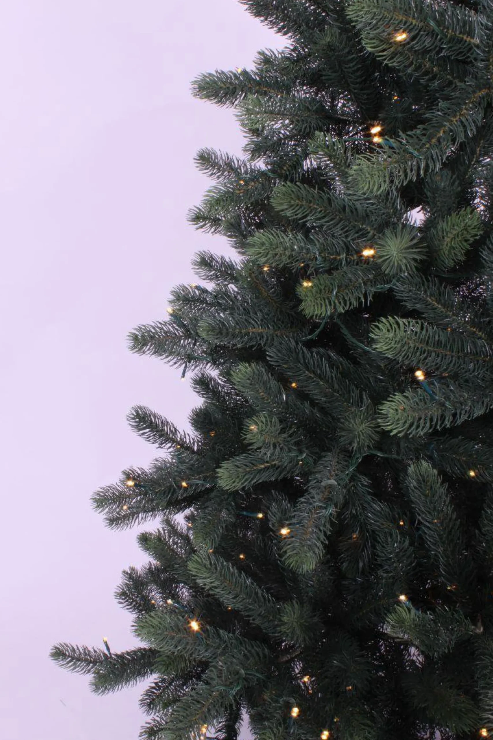 Royal Christmas Kunstkerstbomen^ - Kunstkerstboom - Hawaii Abies Nordmann Deluxe 100% Pe - Met 700 Warm Led Lampjes - Snelle Opbouw - Hoogte 240 Cm