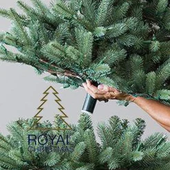 Royal Christmas Kunstkerstbomen^ - Kunstkerstboom - Hawaii Abies Nordmann Deluxe 100% Pe - Met 700 Warm Led Lampjes - Snelle Opbouw - Hoogte 240 Cm
