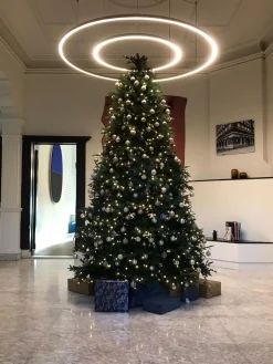 Royal Christmas Kunstkerstbomen^ - Kunstkerstboom - Delaware Pe / Pvc Deluxe - 700 Led Lampjes - 240 Cm - 5817 Takken - Groen