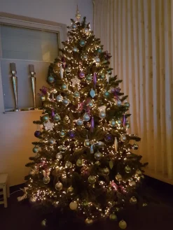 Royal Christmas Kunstkerstbomen^ - Kunstkerstboom - Oregon Deluxe Pvc - 210Cm - 1090 Takken - Groen