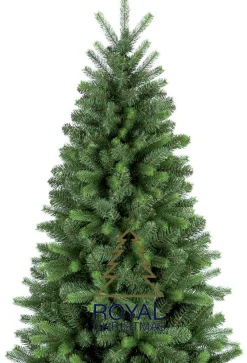 Royal Christmas Kunstkerstbomen^ - Natuurlijke Kunstkerstboom - Bergen Pe / Pvc Premium 210 Cm - 1139 Takken Groen