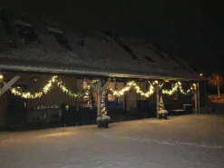 Royal Christmas - 5X Kerstguirlandes Pvc 540 Cm - 70 Led Lampjes - Extra Vol 400 Takken Discount