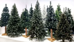springos Kunstkerstbomen^ Kunstkerstboom | Caucasian Spruce | 250 Cm | Zonder Verlichting