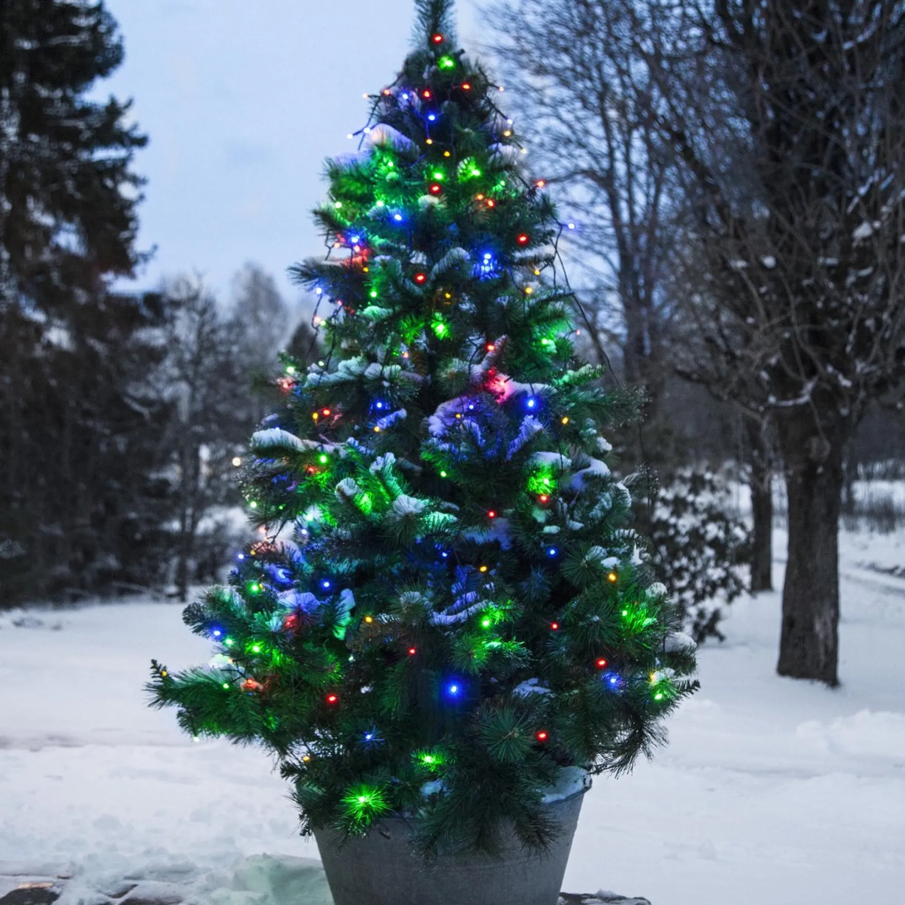 Star Trading Kunstkerstbomen^ Led-Boomjaslichtketting 'series Led', Veelkleurig, 2M