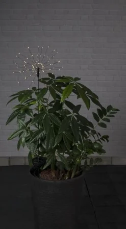 Star Trading Kerstlasers^ Zonnepadverlichting Vuurwerk Solar