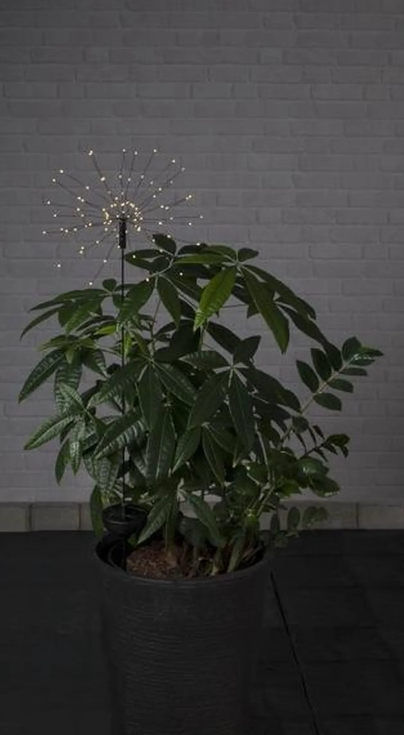Star Trading Kerstlasers^ Zonnepadverlichting Vuurwerk Solar