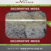 Merkloos 4 Stuks Rendiermos Naturel 50 G Online