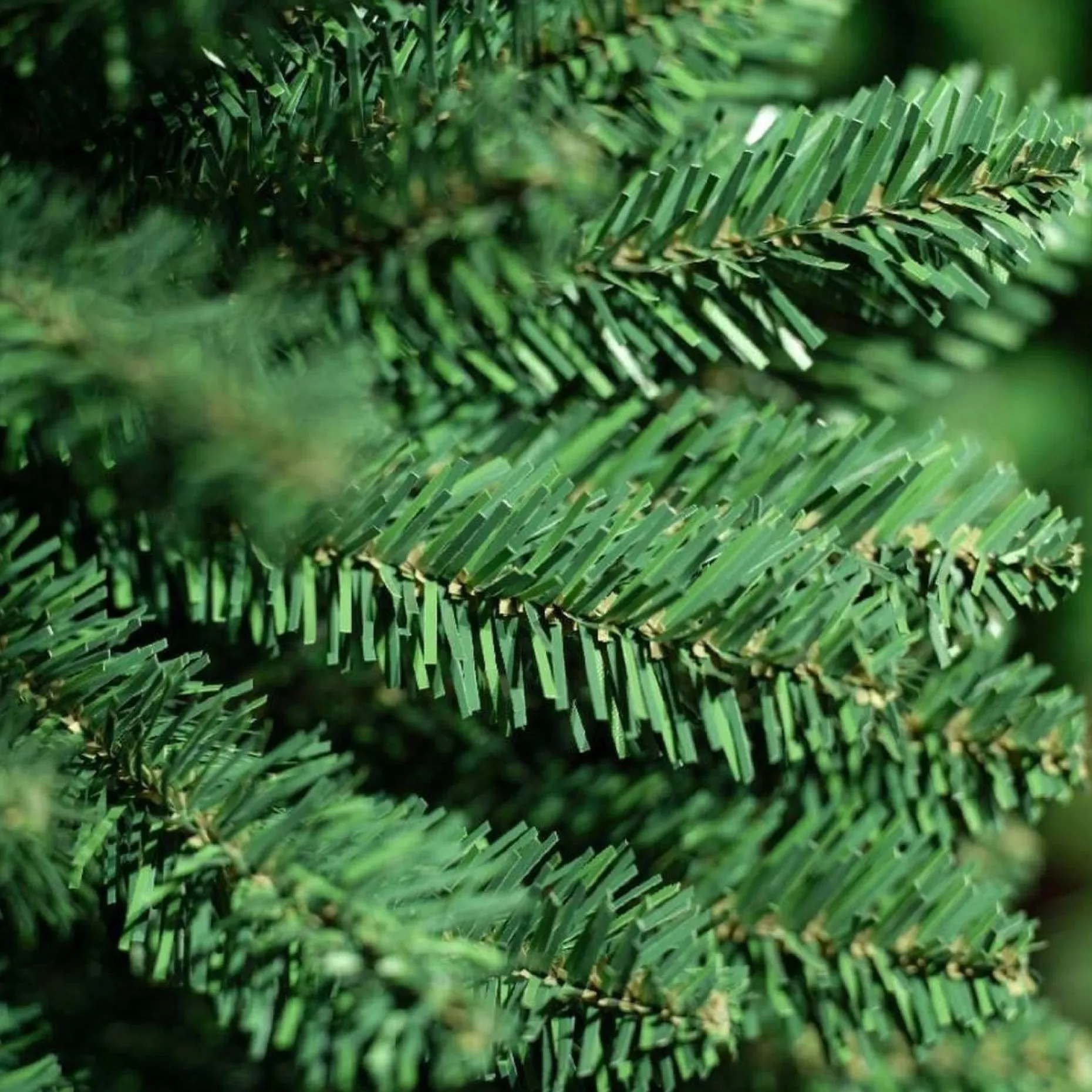 Everlands Kunstkerstbomen^Treb Classic Pencil Pine Kunstkerstboom - 180 Cm Hoog - Zonder Verlichting