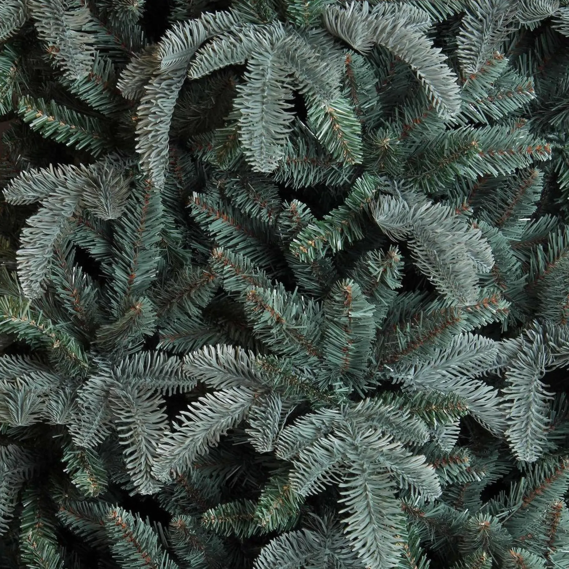 Triumph Tree Kunstkerstbomen^ Abies Nordmann Deluxe Kunstkerstboom 215 X 155 Cm - Forest Blue